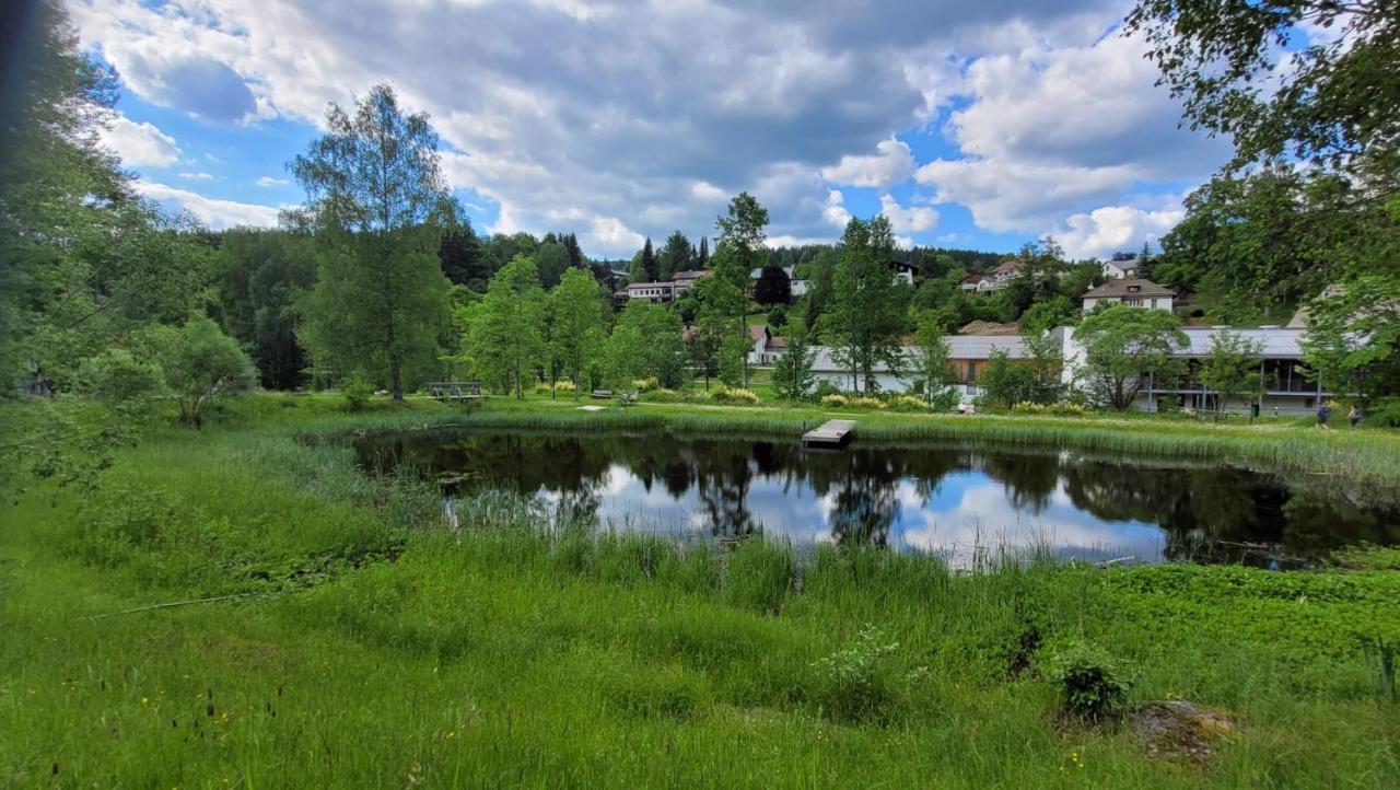 Ferienwohnung Grenzenblick Bayerisch Eisenstein Exteriör bild